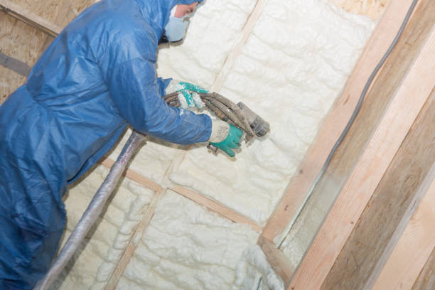 Best Basement Insulation  in Holcom, KS